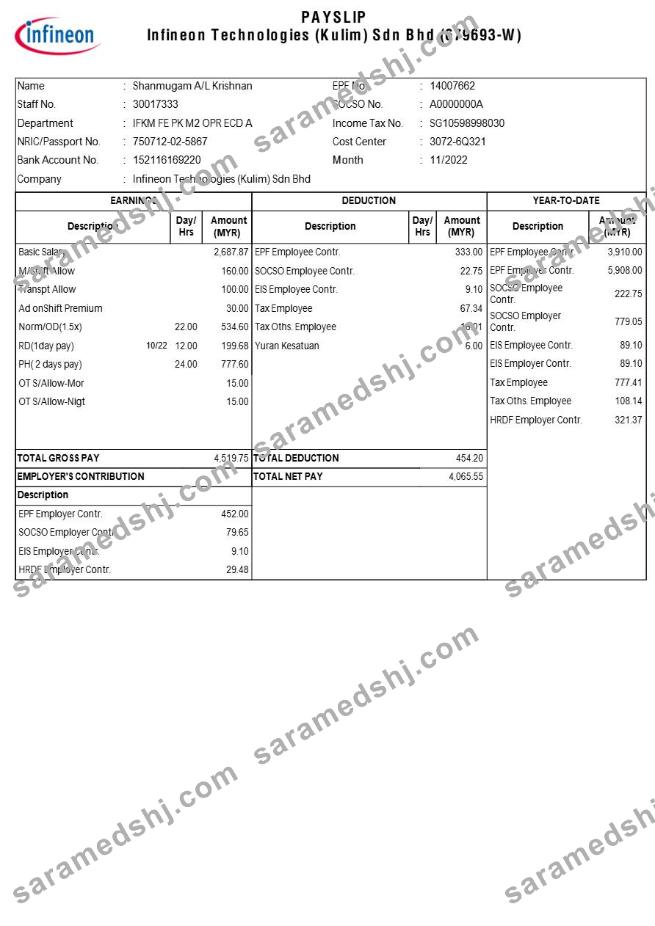 Infineon Technologies payslip template in Word and PDF formats.pdf, 1